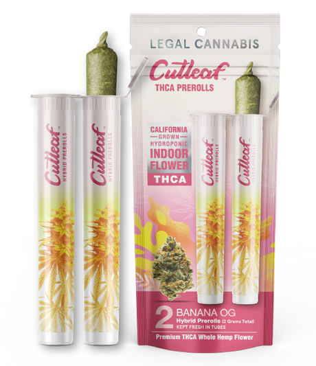 Cutleaf THCA Prerolls - California Indoor-Grown Hydroponic, 2g