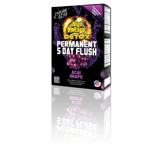 High Voltage Detox Permanent 5 Day Flush - 2/16oz (946ml)