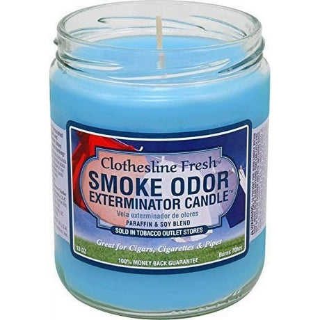 Light One Up Today Smoke Oder Exterminator Candle