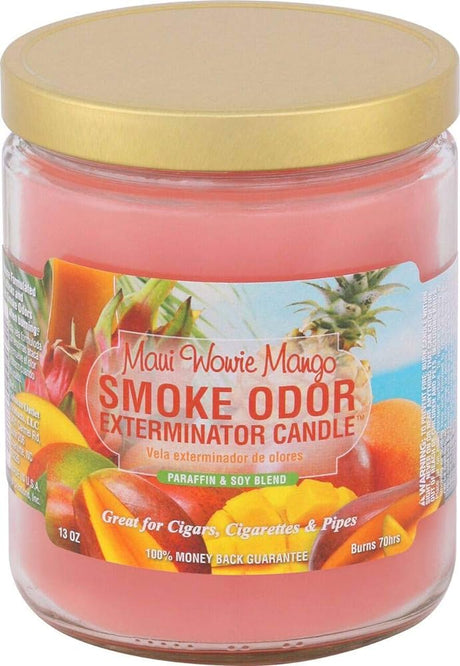 Light One Up Today Smoke Oder Exterminator Candle