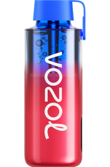 Vozol Neon 10000 Vape Disposable