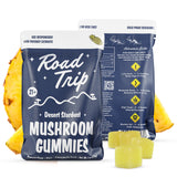 Road Trip Mushroom Desert Stardust Gummies