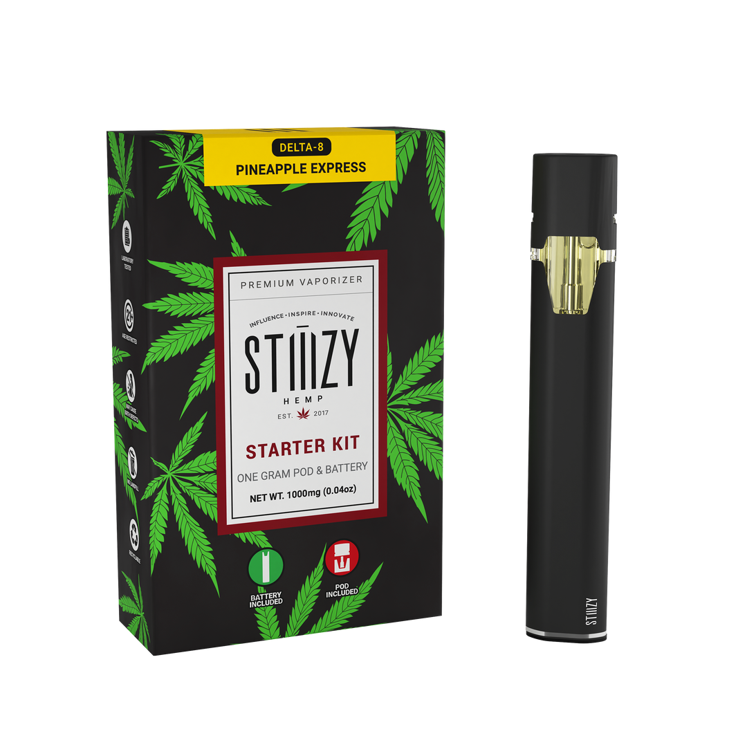 Stiiizy Starter Kit One Gram Pod & Battery - 1G