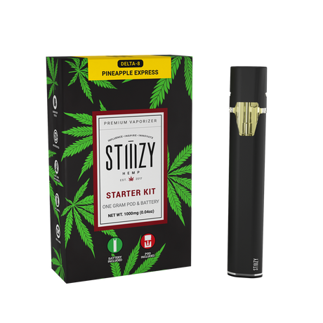 Stiiizy Starter Kit One Gram Pod & Battery - 1G